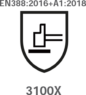 3100x.jpg